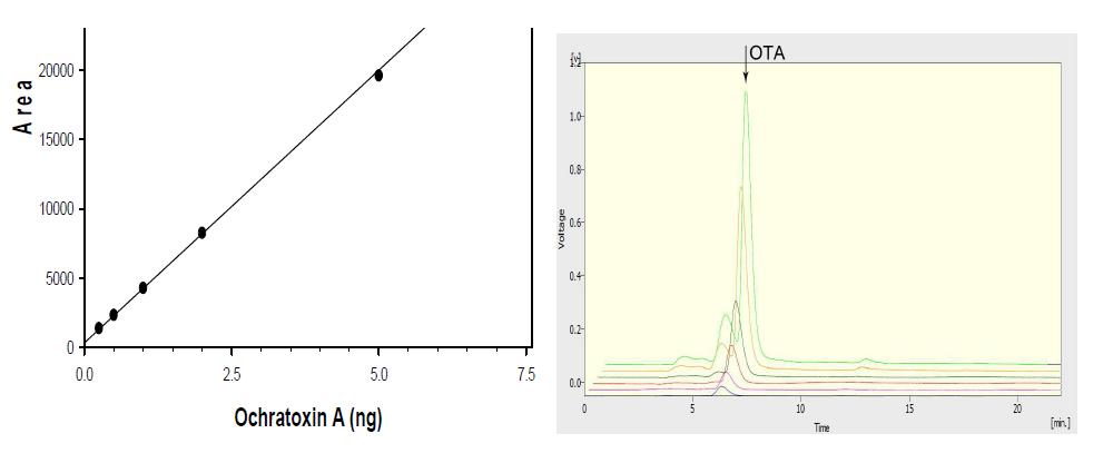 Standard curves of Ochratoxin A and chromatogram.