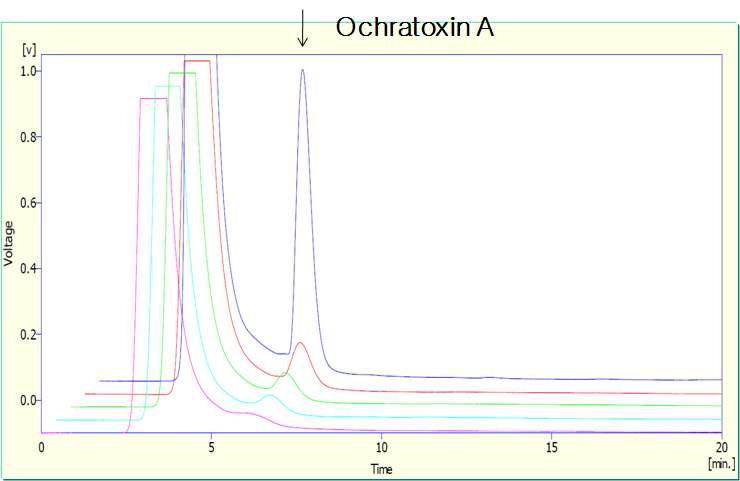 Chromatogram of ochratoxin A from recovery test.