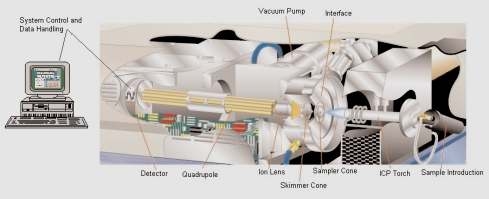 Fig. 2. Components of an ICP-MS system