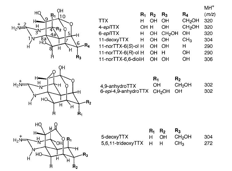Chemical structures of TTXs with m/z for MH+ ions.