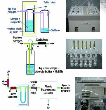 EPA method for methylmecruy analysis in water, sediment and fish