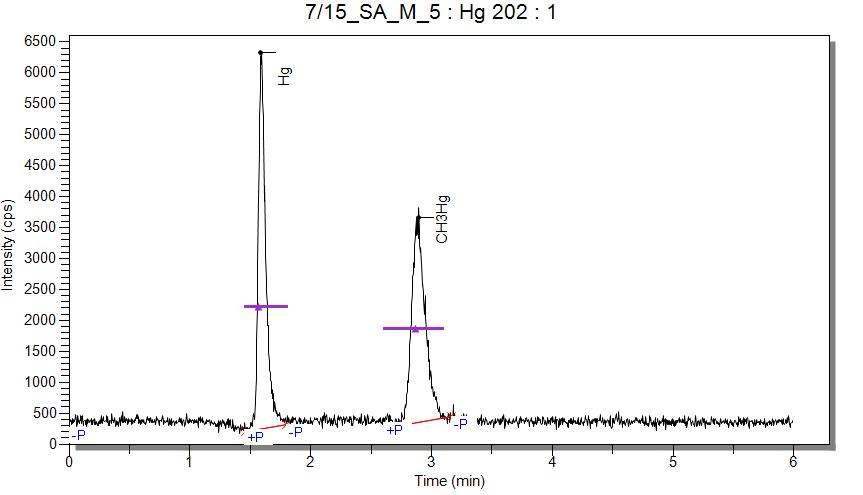 Chromatogram of Hg2+ and CH3Hg+ standard solution for 0.1% L-cysteine + L-cysteine •HCl mobile phase