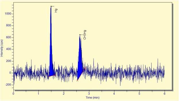 Chromatogram of 0.4 ppb Hg2+ and 0.2 ppb CH3Hg+ standard solution