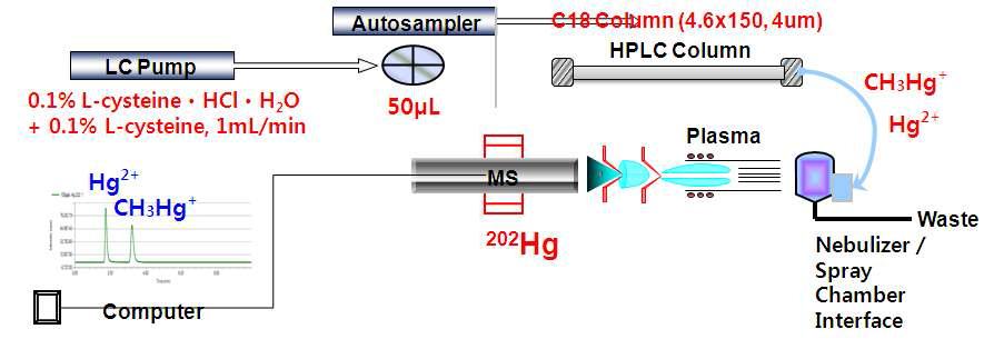 Schematic diagram of established HPLC-ICP/MS conditions