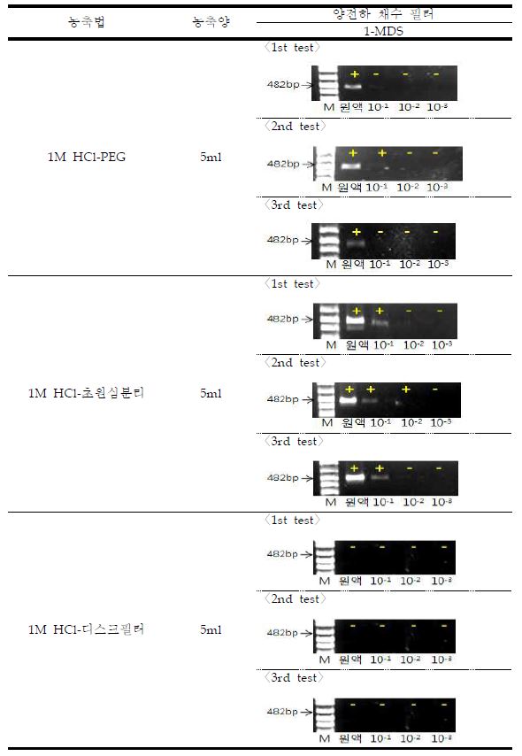 그림63. 1-MDS의 최종PCR 결과 사진