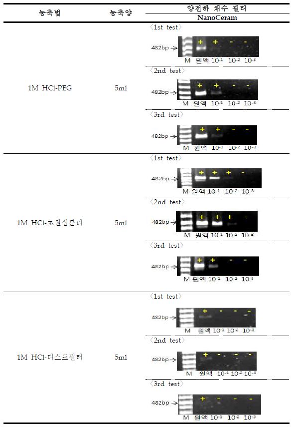 그림64. Nanoceram의 최종PCR 결과 사진