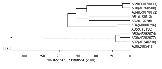 그림12. 아스트로바이러스 Geno-typing을 위한 유전자형 계통도