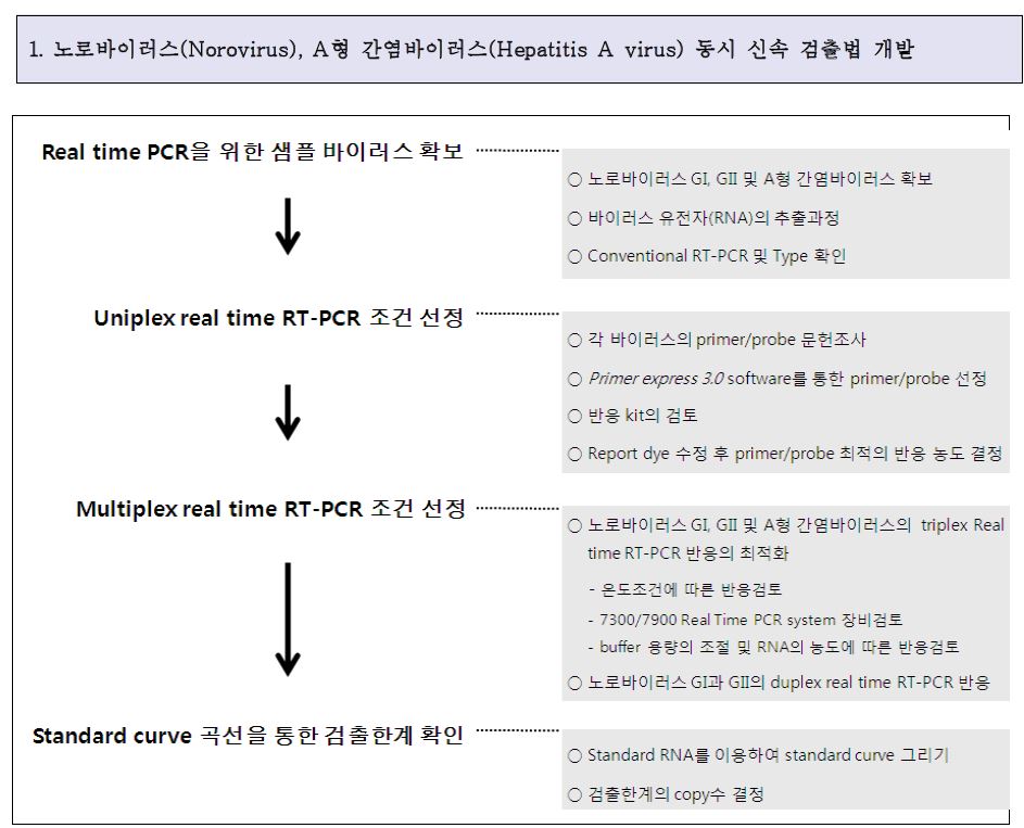 그림17. 노로바이러스 GI, GII 및 A형 간염바이러스의 동시 신속 검출법 개발 전체 진행도