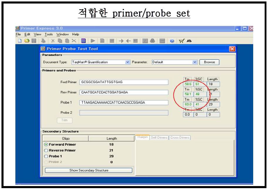 그림21. Primer Express 3.0을 이용한 primer/probe 선정