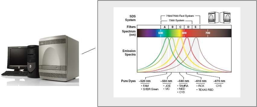 그림26. 7300 Real Time PCR System(Applied Biosystem)의 특징