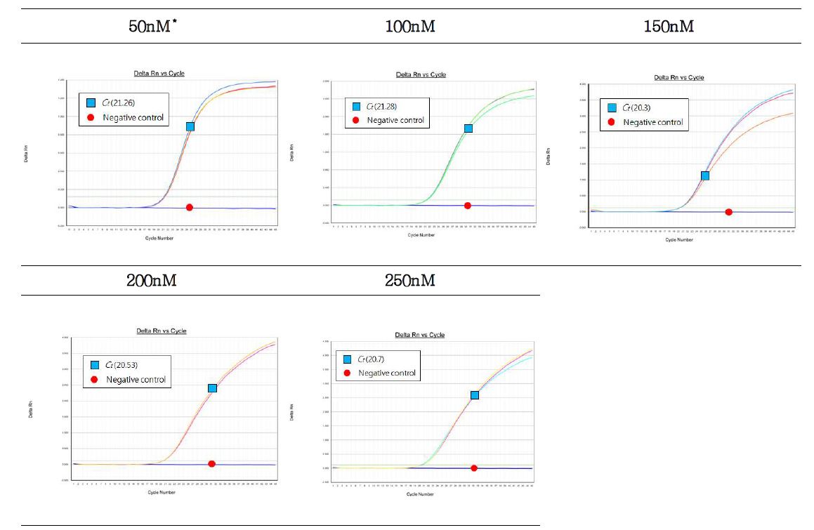 그림31. 노로바이러스 GII의 probe농도에 따른 Realtime RT-PCR결과