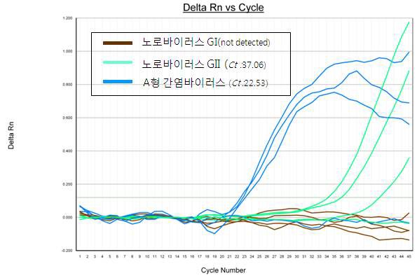 그림34. 온도조건 A에서의 Triplex Realtime RT-PCR 결과