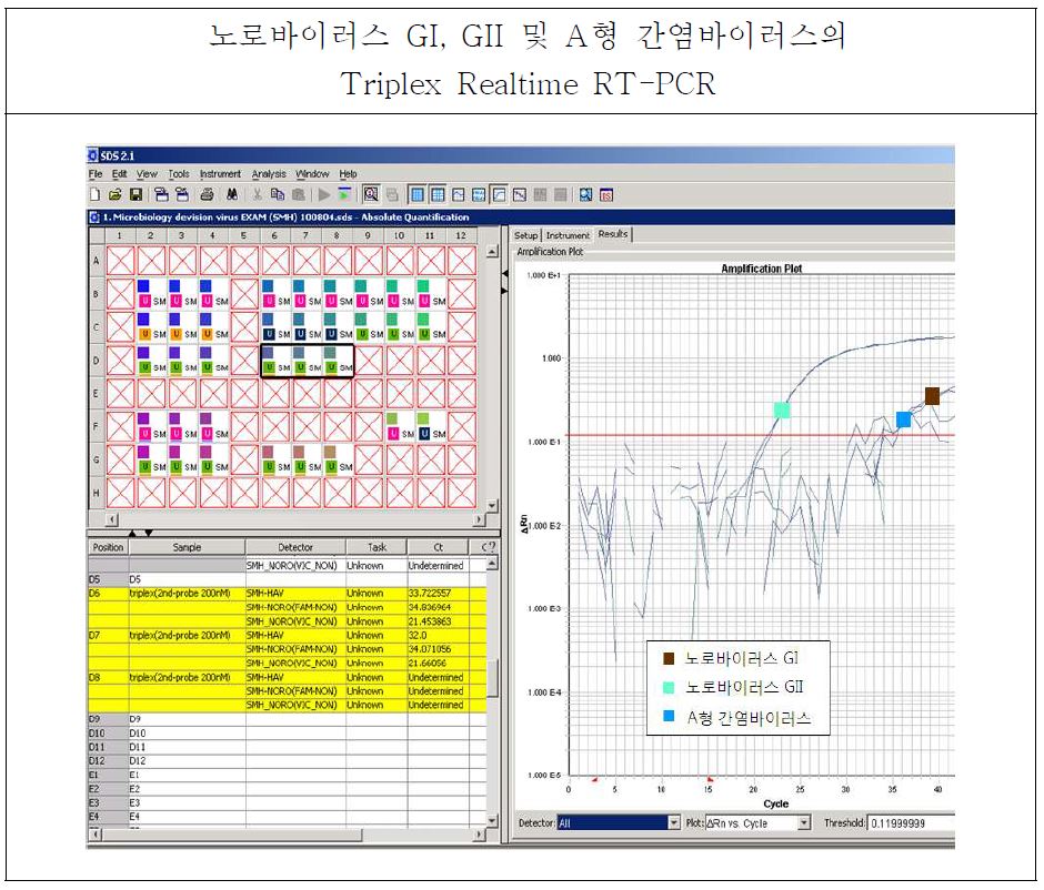 그림39. 7900 Fast system 장비를 이용한 노로바이러스 GI, GII 및 A형 간염바이러스의 Triplex Realtime RT-PCR 결과