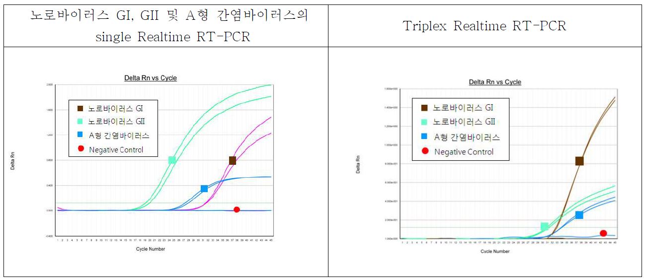 그림40. MGB/NFQ Probe로 수정 후 노로바이러스 GI, GII 및 A형 간염바이러스의 Single Realtime RT-PCR 및 Triplex Realtime RT-PCR 결과