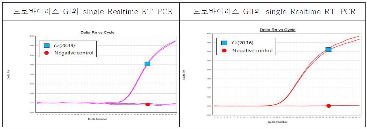 그림41. 노로바이러스 GI과 GII의 Single Realtime RT-PCR의 결과