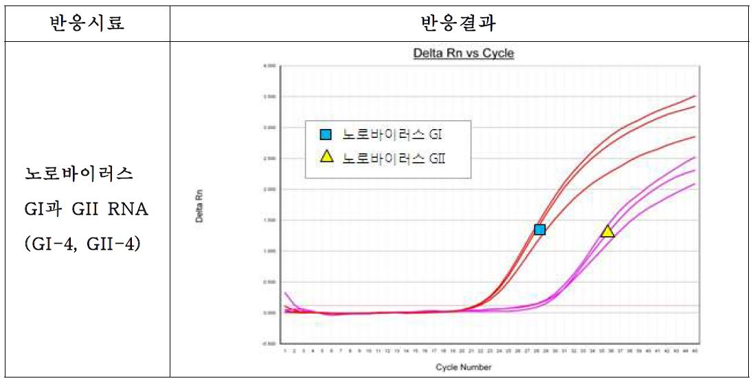 그림42. 노로바이러스 GI과 GII의 Duplex Realtime RT-PCR 결과