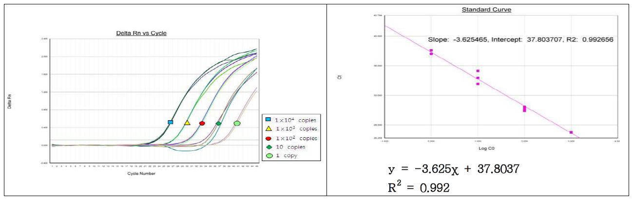 그림43. 노로바이러스 GI의 정량 한계 및 Standard Curve