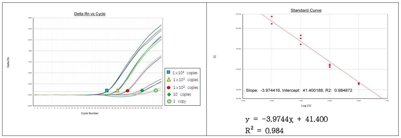 그림44. 노로바이러스 GII의 정량 한계 및 Standard Curve