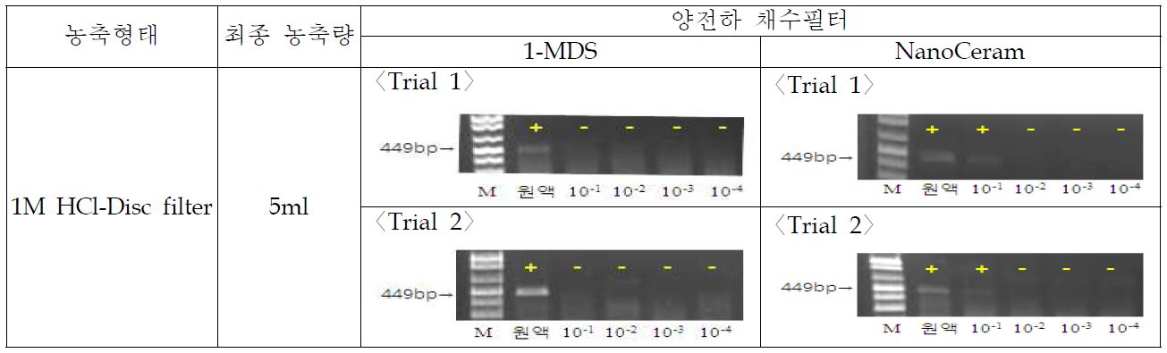 그림52. 채수필터별 1M HCl-Disc filter 농축법의 conventional RT-PCR 결과