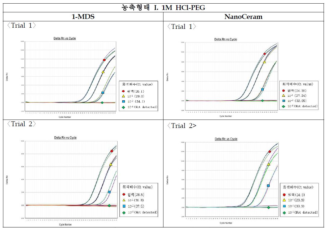 그림53. 1M HCl-PEG 농축 후 Realtime RT-PCR을 이용 아스트로바이러스 검출