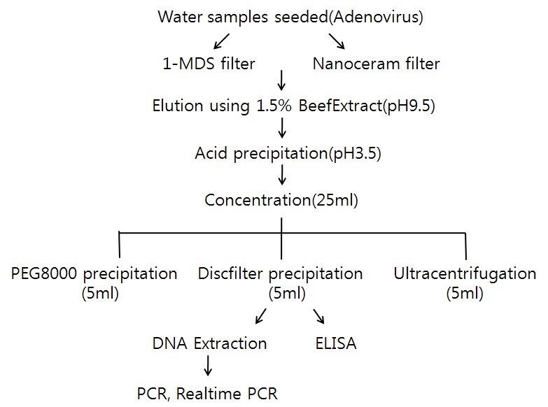 그림61. 아데노바이러스 시험법 개발의 전체 흐름도