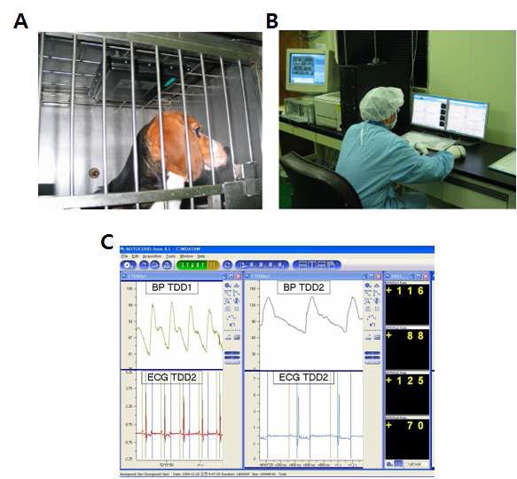 Telemetry system을 사용한 혈압 ECG 측정A: 사육케이지에 장착된 수신기(Reciever)와 비글견