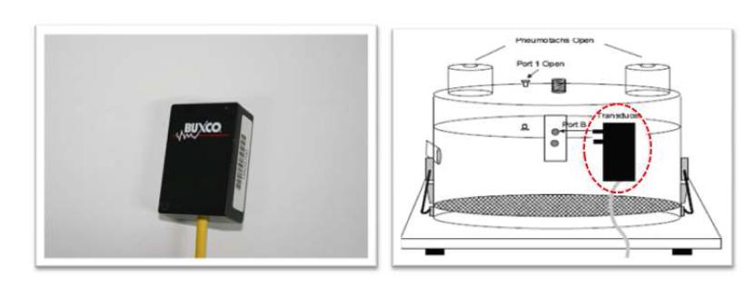 Transducer(BUXCO사, TRD5700)