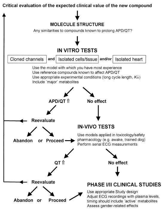 신약 후보 물질의 심장 독성 평가를 위한 흐름도(flow-chart)