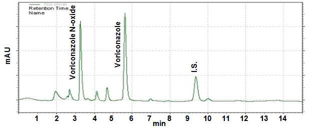 Mean plasma concentration of voriconazole-time profiles after an oral administration of voriconazole 400 mg