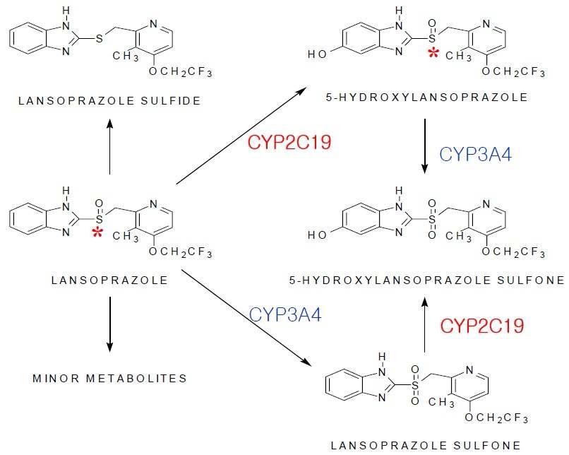 Metabolic pathways of lansoprazole