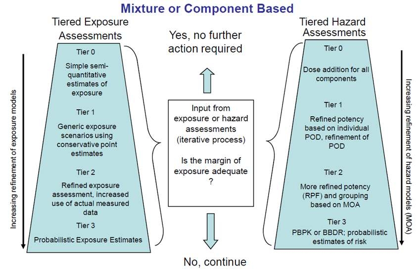 그림 20. Risk assessment of combined exposures to multiple chemicals:WHO/IPCS framwork (WHO/IPCS, 2009)