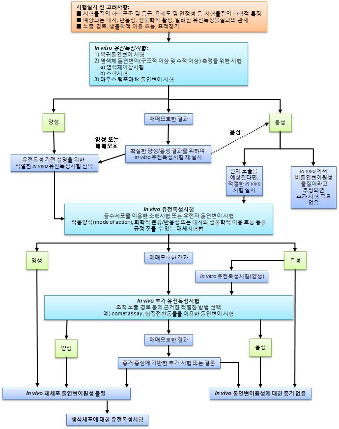 Strategy for mutagenicity testing