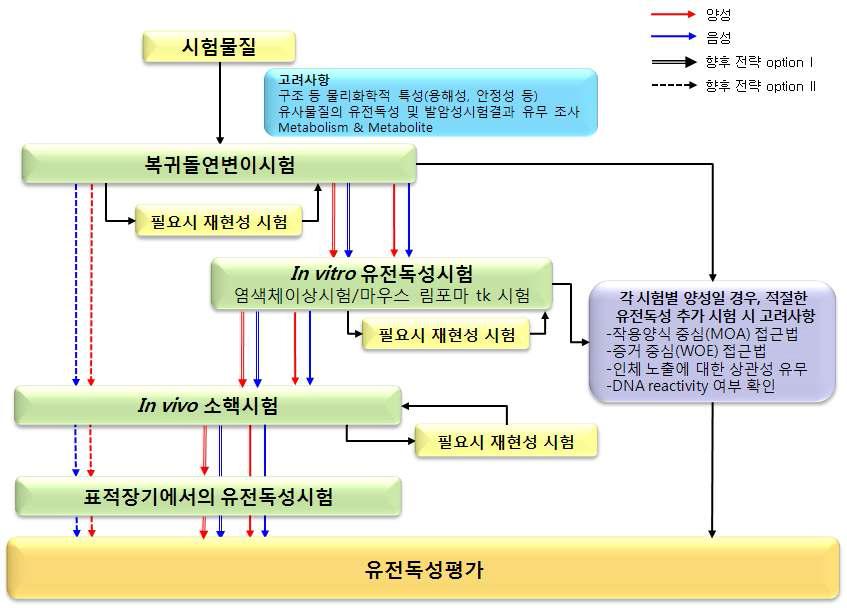 Follow-up testing and decision making in case of genotoxicity testing