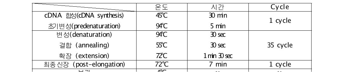 One-step RT-PCR 반응조건 및 온도