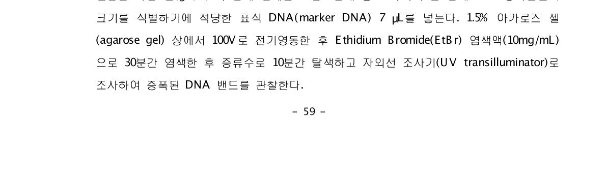 Semi-nested PCR 반응조건 및 온도