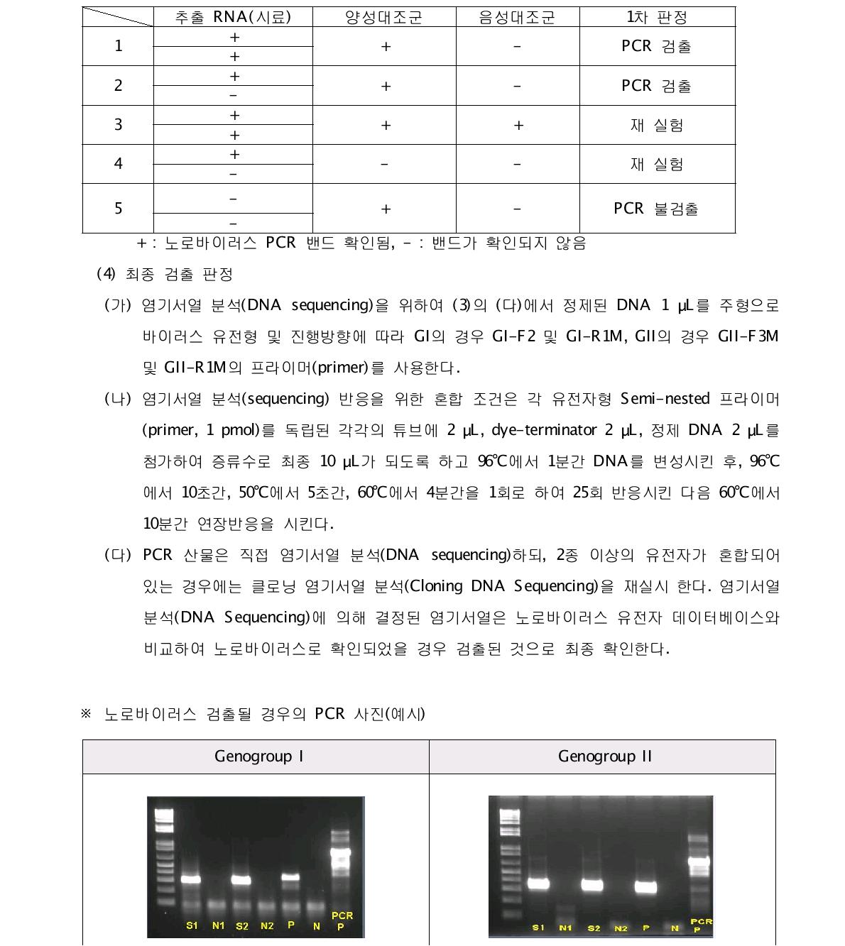 노로바이러스 PCR 결과판정 (예시)