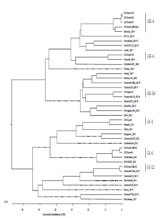 그림 24. 식품용수에 검출된 노로바이러스 계통학적 분석결과(2010.1월-11월)