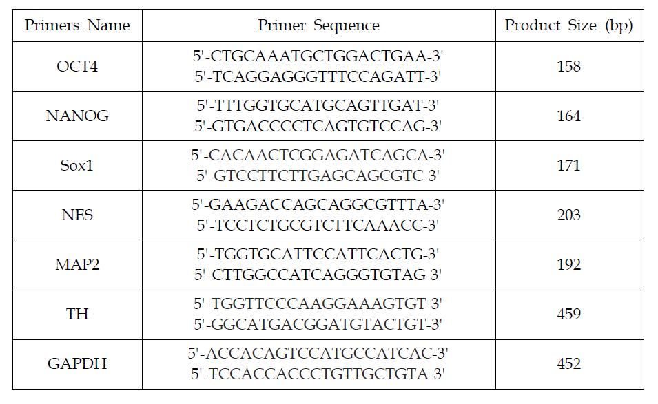 본 연구에 사용된 primer 목록