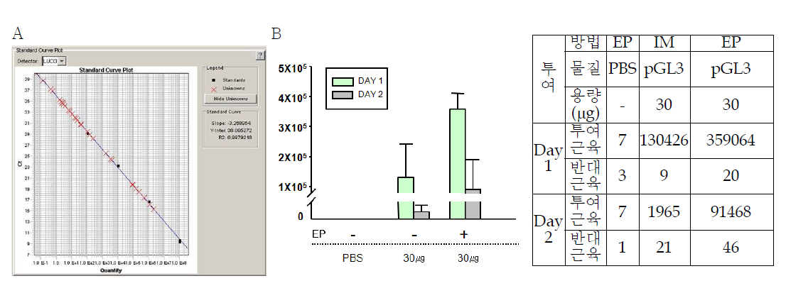 A. Linearity Analysis after Real-time PCR Amplification of the Kanamycine Sequence. A dilution series of the positive control (1 x 108, 1 x 106 , 1 x 104 and 1 x 102 copy), was amplified by real-time PCR and the Cp (crossing point ) value were recorded for each dilution. B. Detection of pGL3 vectors 1 and 2 days after injection into the leg muscle of mice.