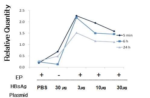 Profile of HBsAg detection in blood.