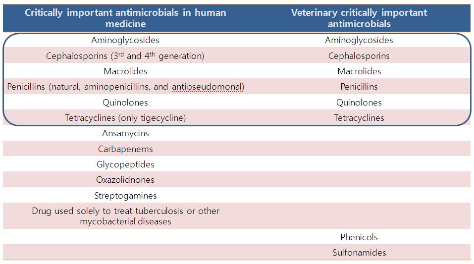 Comparison of human critically important antimicrobials and veterinary critically important antimicrobials