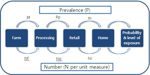 생산-소비단계 노출평가에 대한 개념 모델