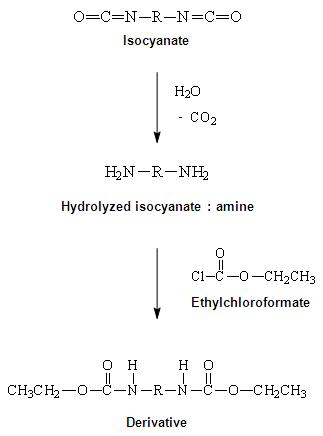 Partial scheme for hydrolysis and ethyl chloroformate reaction of diisocyanate.