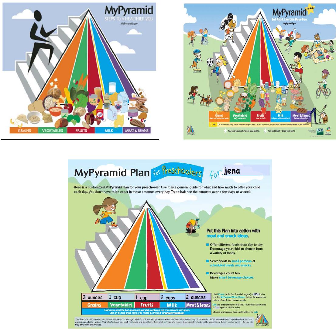 미국의 생애주기별 MyPyramid 모형