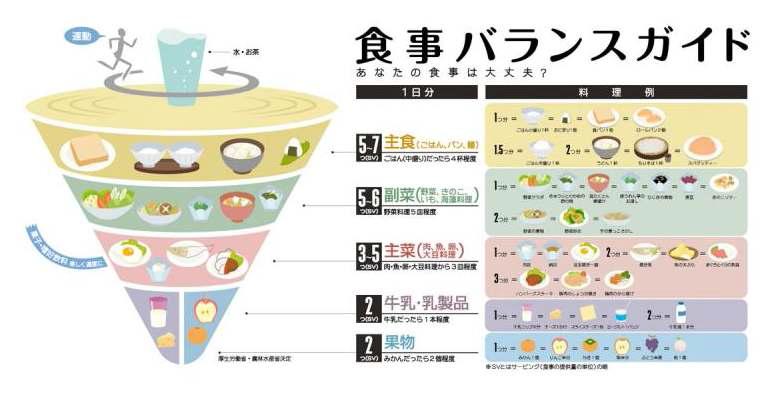 일본 식사발란스가이드