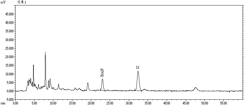 향부자의 벤조피렌 크로마토그램