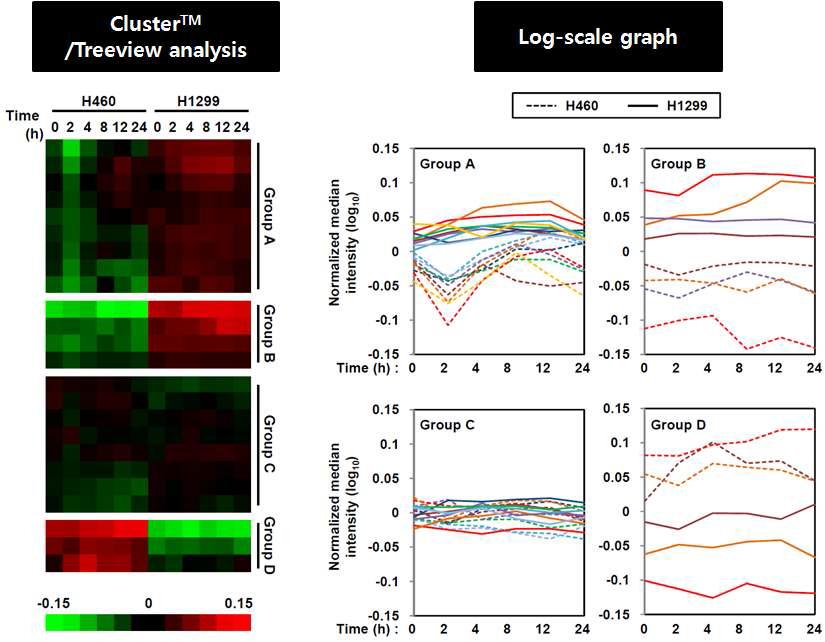 폐암 세포주에서 in vitro radiation에 의한 시간별 유전자 발현 변화 패턴.