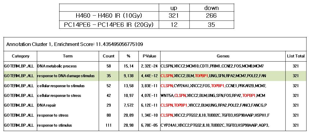 방사선 내성 획득 세포주와 기존 세포주와의 유전자 발현 microarray 분석