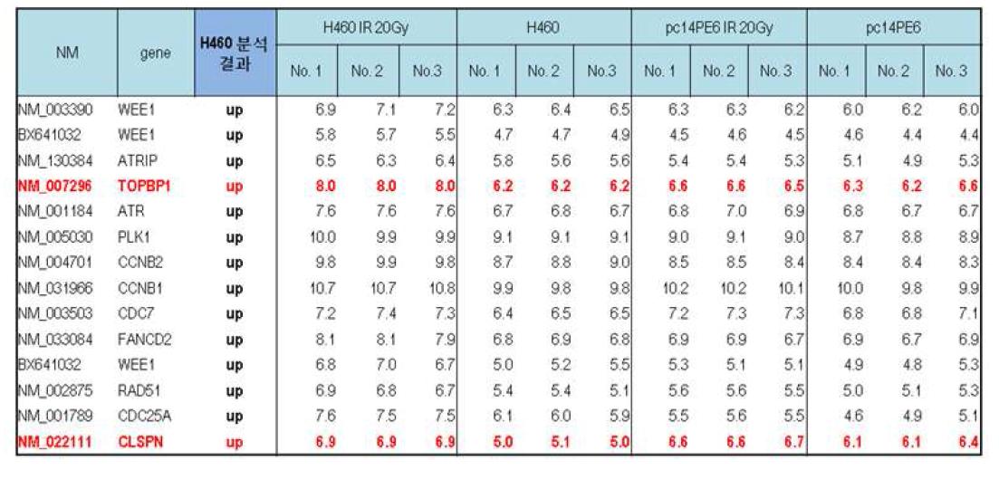 방사선 내성과 관련하여 증가한 유전자