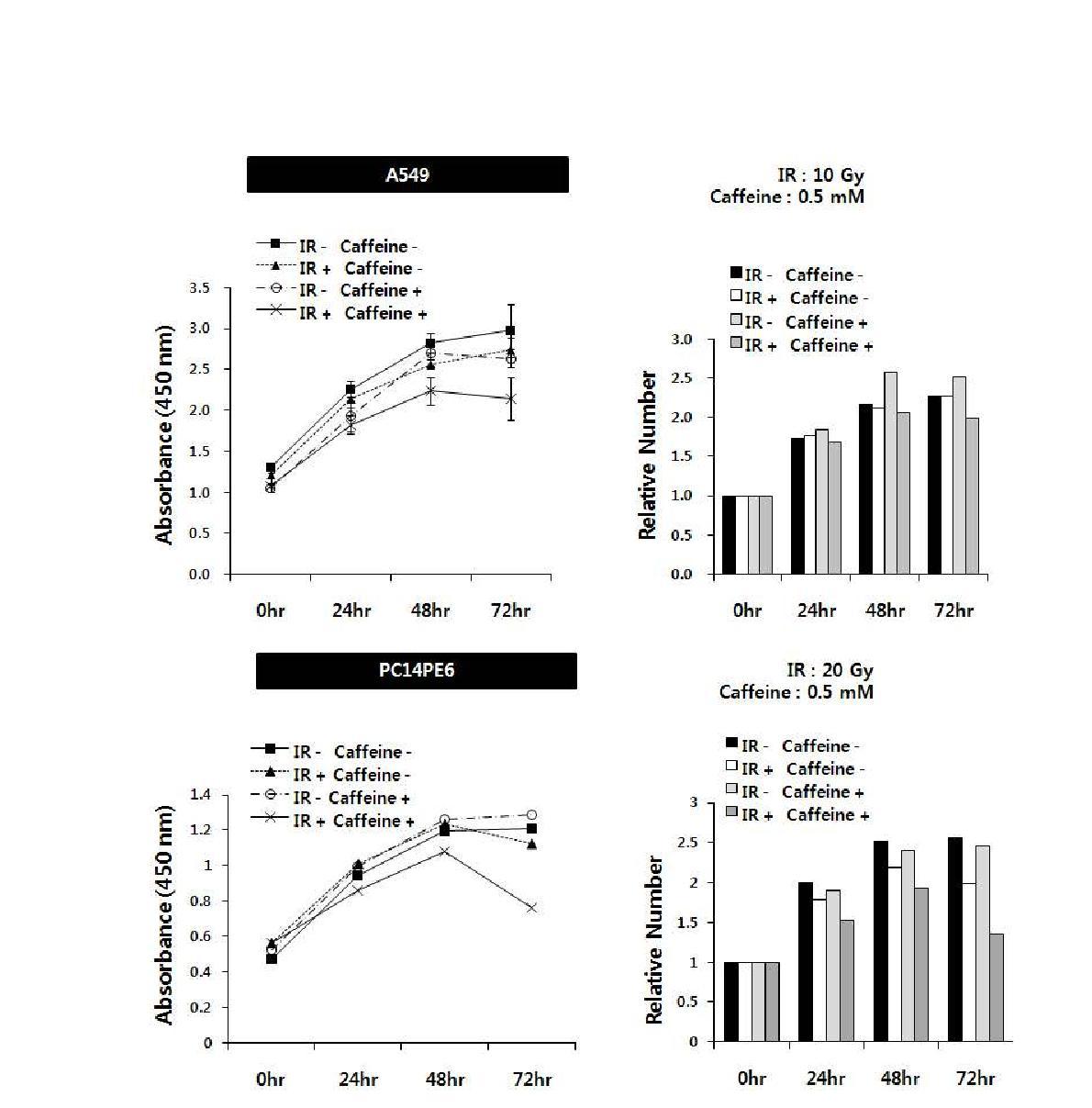 Caffeine 처리로 DNA damage checkpoint 활성화 억제에 의한 radio-sensitizing effect 확인.